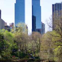 NYC Central Park