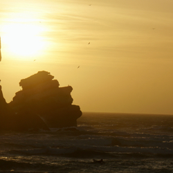 Morro Rock at Sunset