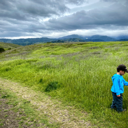 Santa Teresa's Green Hills